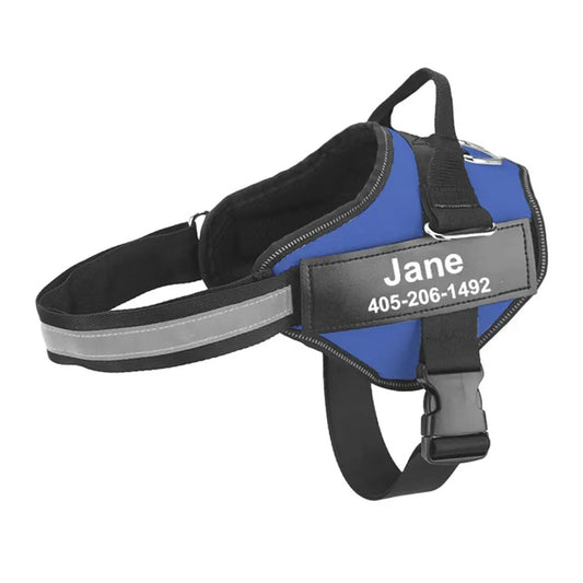 Personalized No-Pull Dog Harness